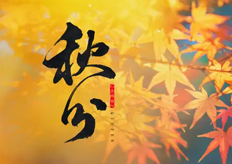 今日秋分:秋意浓浓,夜渐漫长